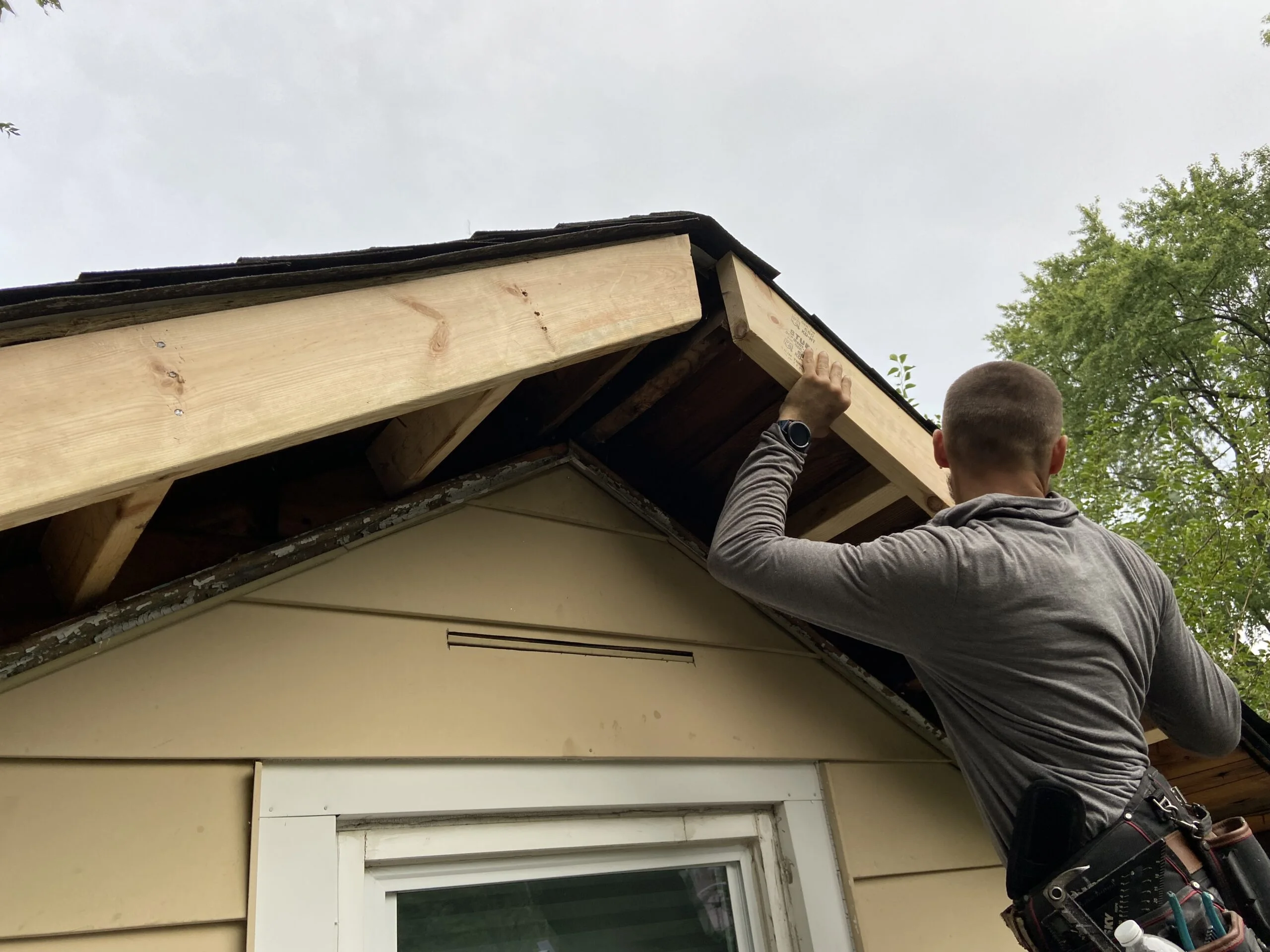 Asphalt shingle roof